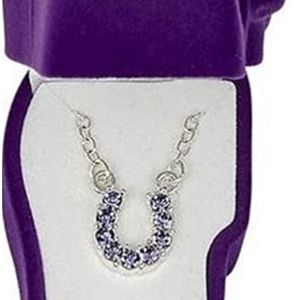 Horseshoe Amethyst purple silver necklace